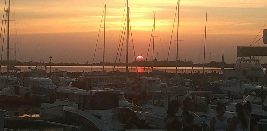 Ostseesonne Wiek auf Rügen المظهر الخارجي الصورة